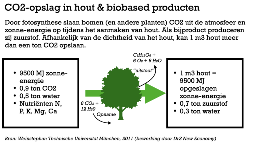 co2 opslag in houtvezel